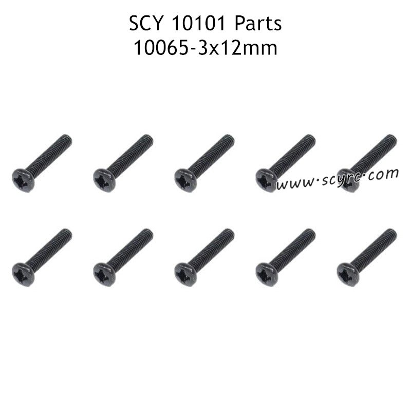 SUCHIYU 10101 Parts BM 3x12mm Phillips Pan Head Machine Screw 10065 