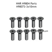 H98073 3x10mm