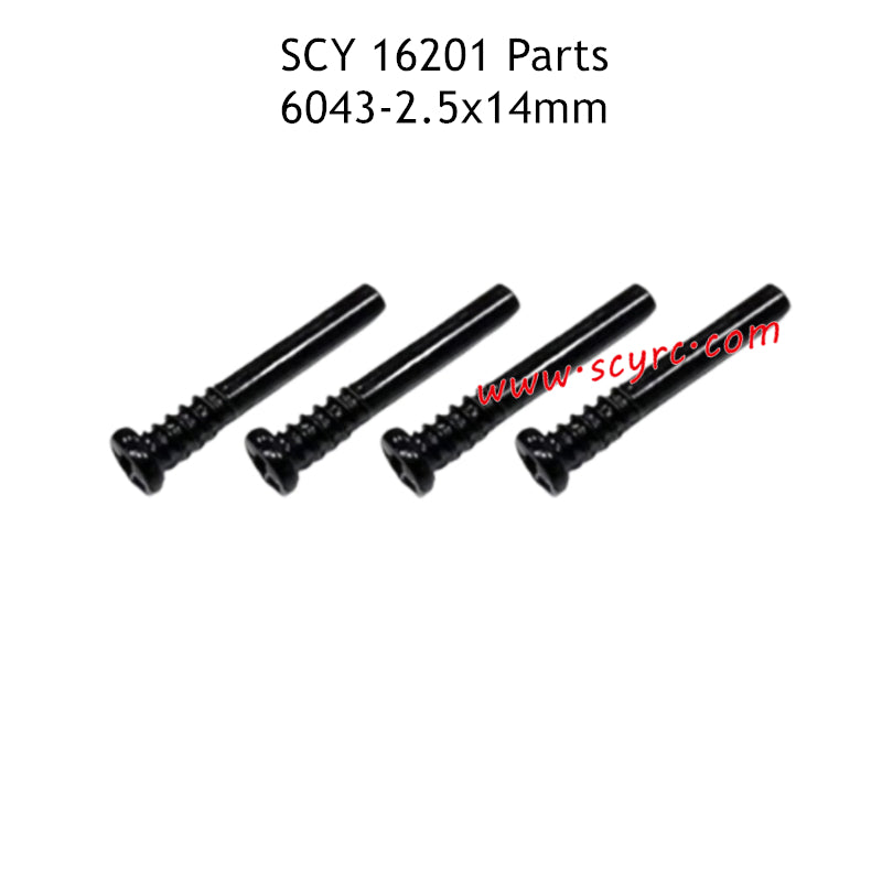 SCY 16201 Parts 2.5X14mm Screws 6043