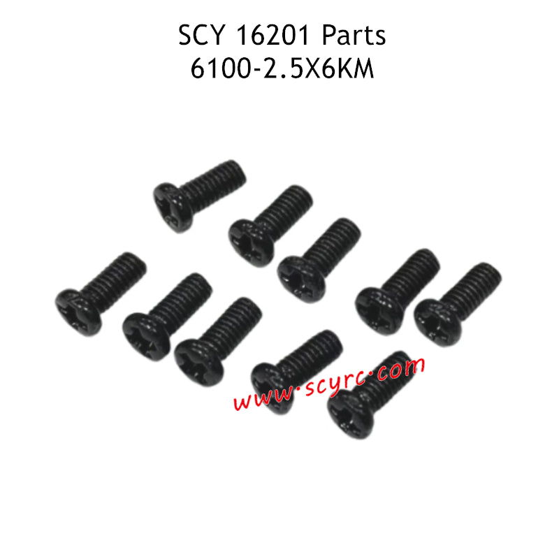 SCY 16201 Parts 2.5X6KM Screws 6100