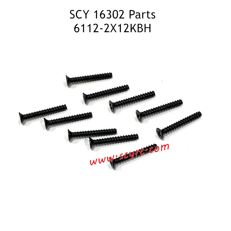 SCY 16302 Parts 2X12KBH Screw 6112