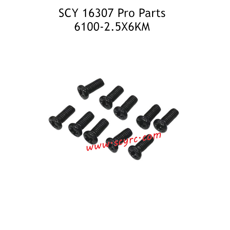 SCY 16307 Pro Parts 2.5X6KM Screw 6100